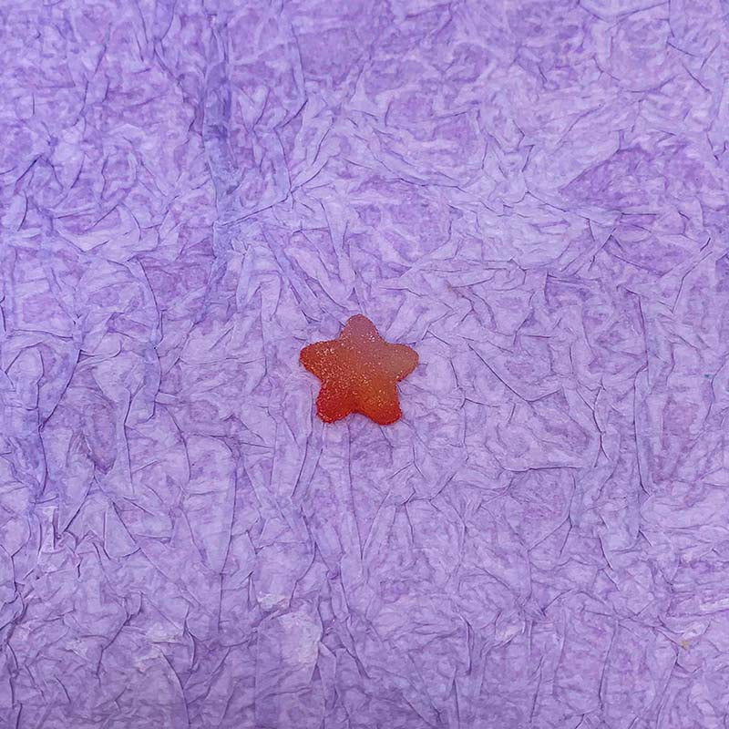 BOGO-【A125】Sugar Heart with Star-Blind Bag Series