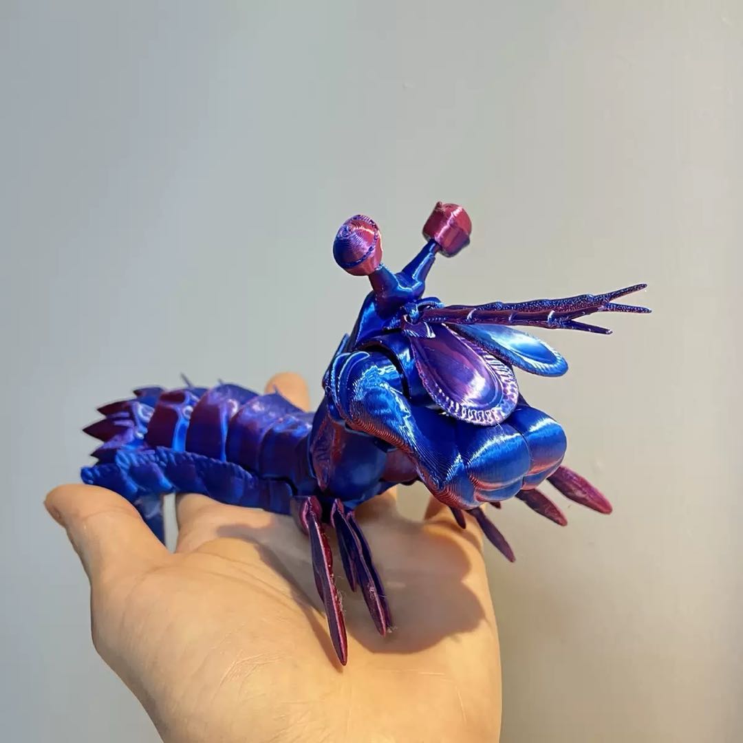 3 D Mantis Shrimp (Direct Buy)