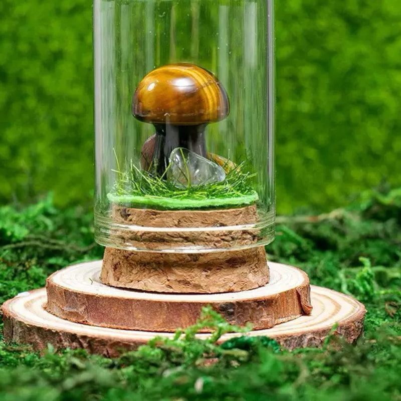 Crystal Specimen (Pre-Sale)