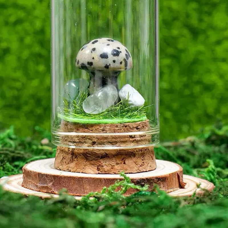 Crystal Specimen (Pre-Sale)