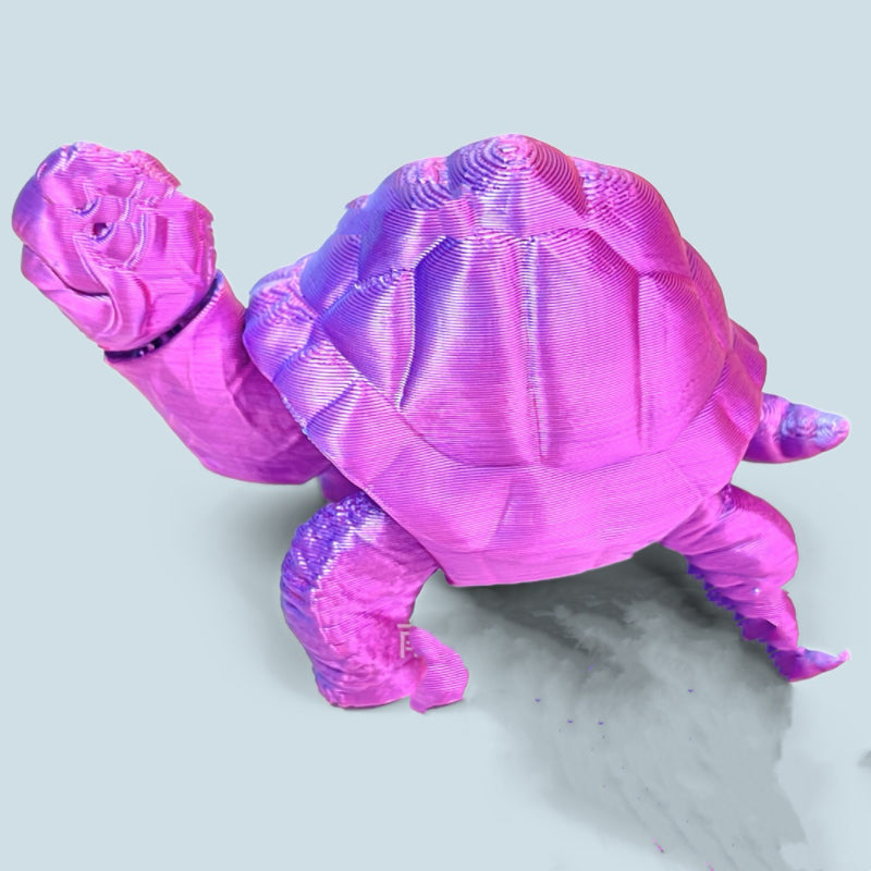 3 D Turtle(Pre-Sale)