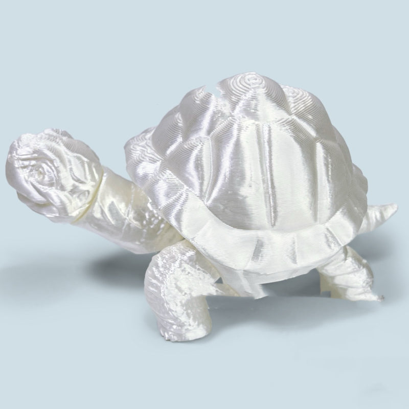 3 D Turtle(Pre-Sale)