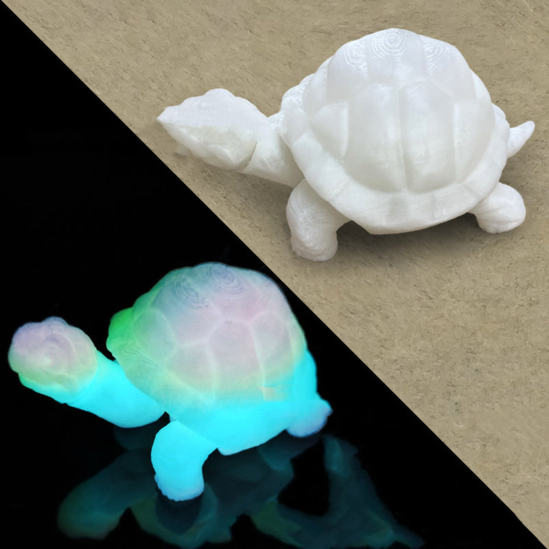 3 D Turtle(Pre-Sale)