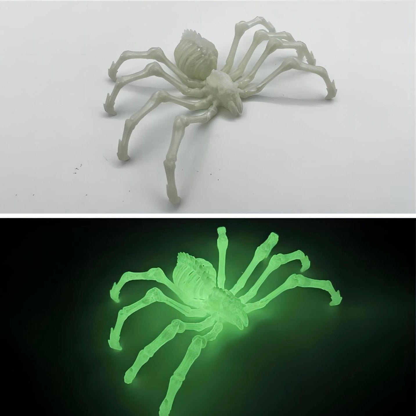 3 D Spider (12cm)（Pre-Sale)