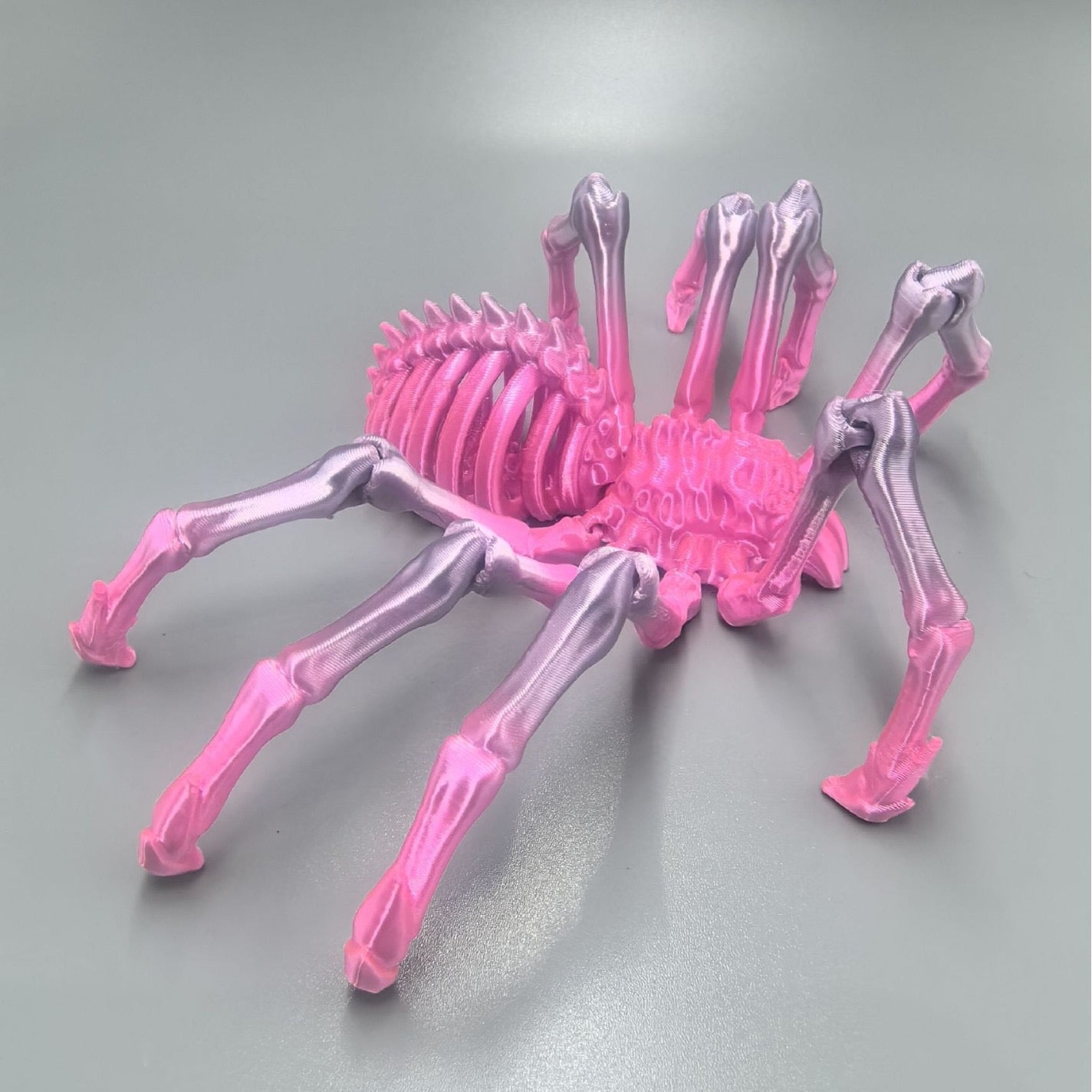 3 D Spider (12cm)（Pre-Sale)