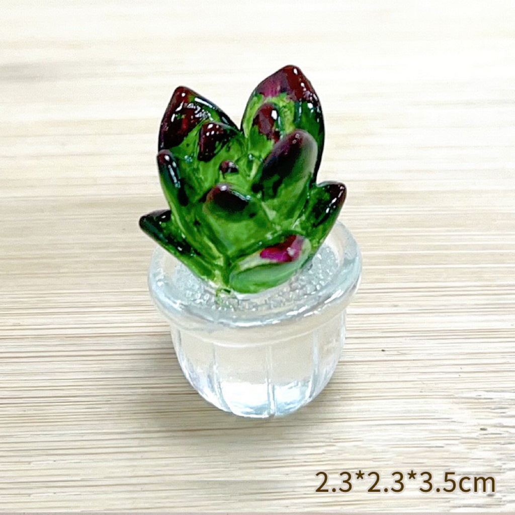 【A100】Cute Succulent Ⅱ-Blind Bag Series