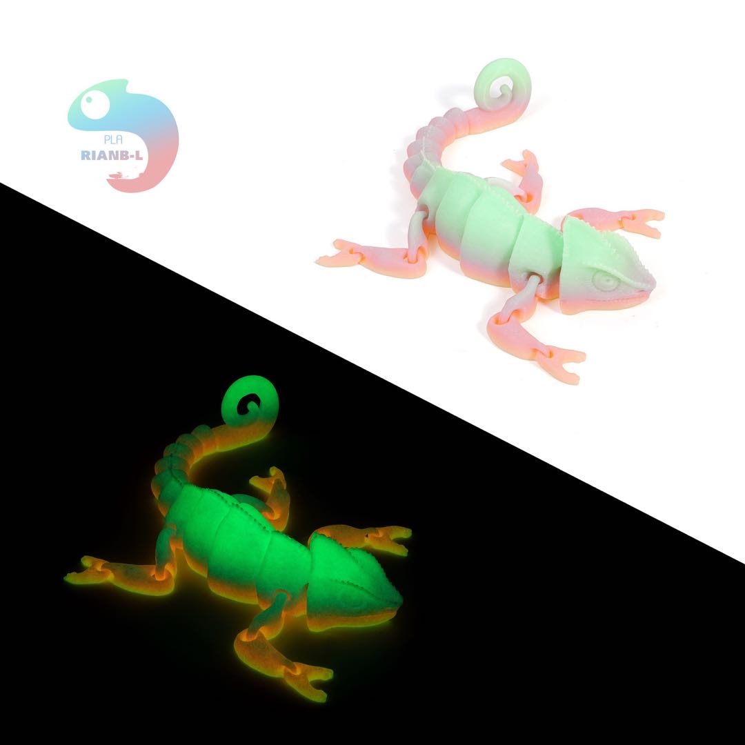 Colorful 3 D Lizard（Pre-sale)